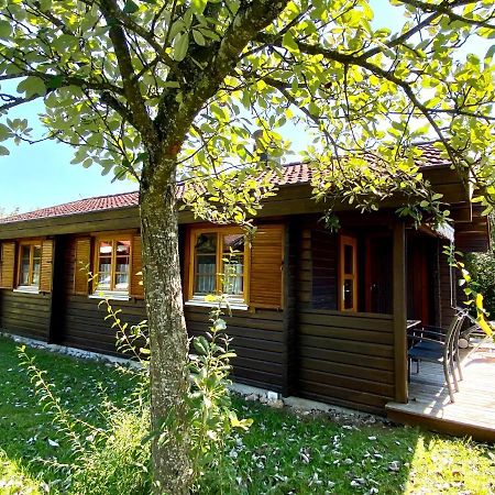 Ferienhaus Bruckner Hayingen Lauterdoerfle Esterno foto